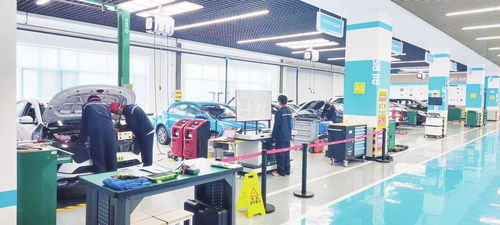 煙臺日報電子報刊