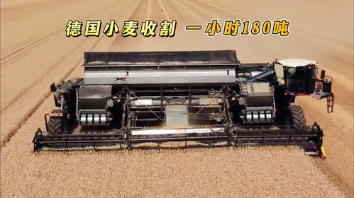 德國研發(fā)新型收割機,搭載15.5米寬割臺,一小時收割小麥180噸