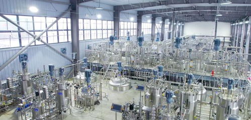 你桌上的大牌化妝品,原料就來(lái)自新區(qū)