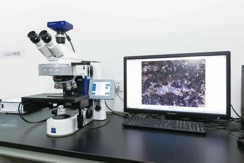 永鋼 硬核實(shí)力的背后——獲江蘇省省長(zhǎng)質(zhì)量獎(jiǎng)的汽輪機(jī)研發(fā)與銷售之道